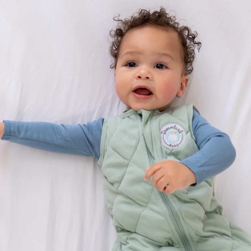 Dreamland Baby: Gentle Solutions for Peaceful Nights and Happy Mornings