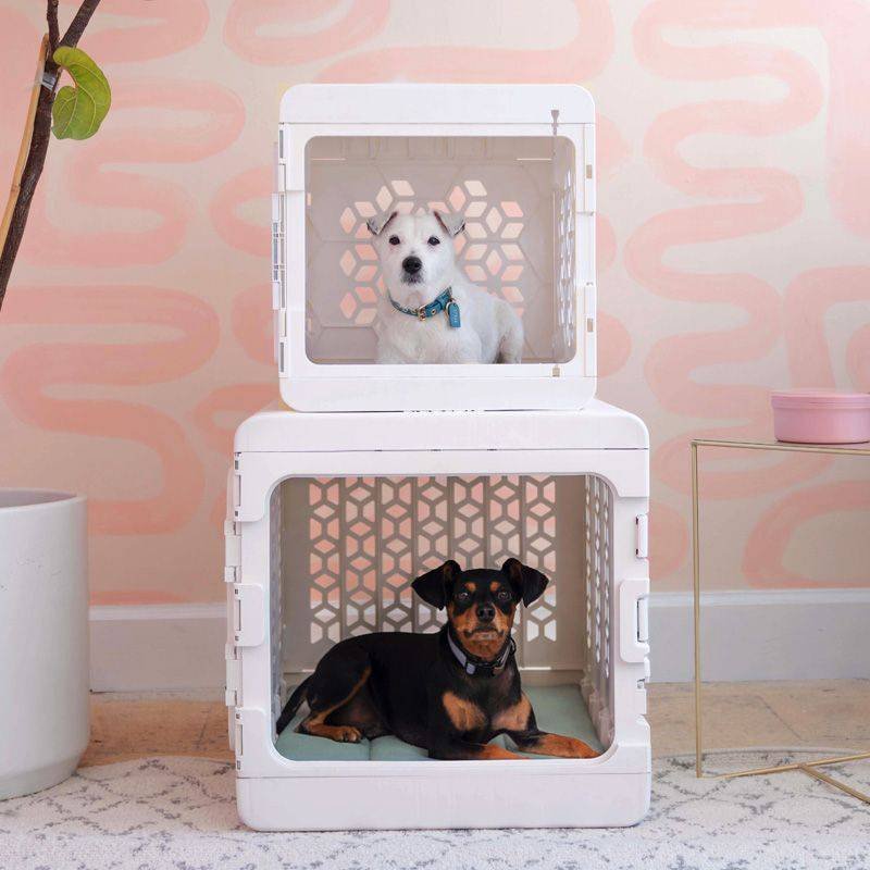 PAWD Modern Collapsible Dog Crate