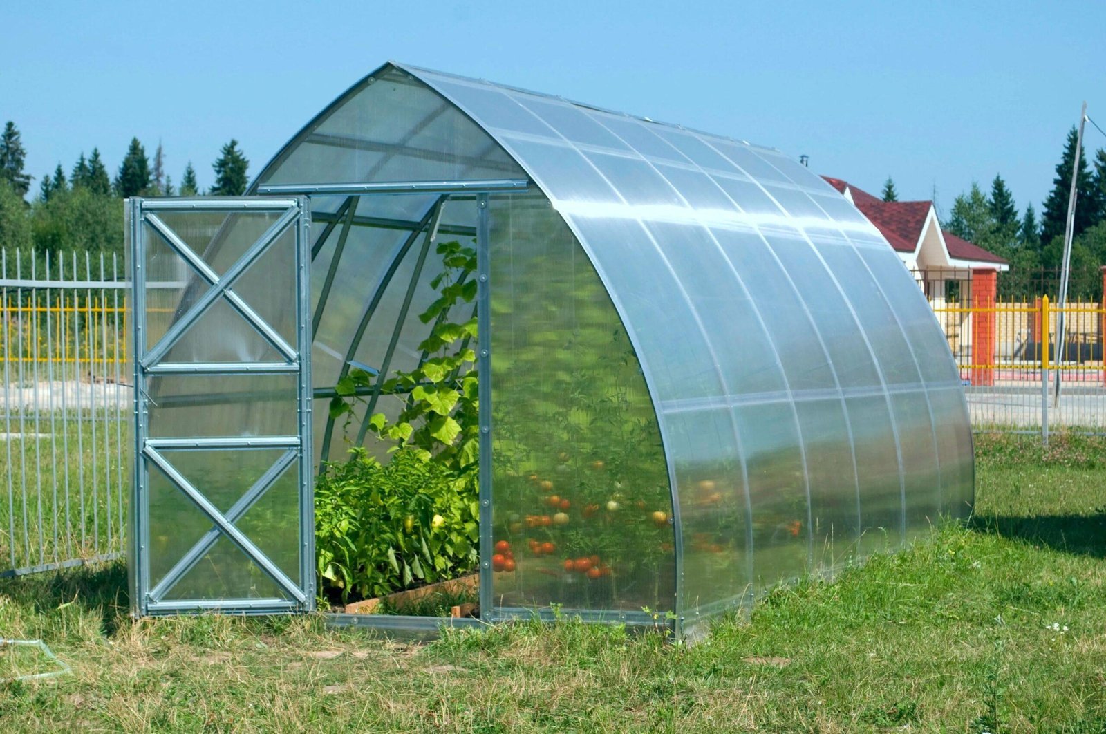YourGreenHouses: Cultivating Excellence in Every Season