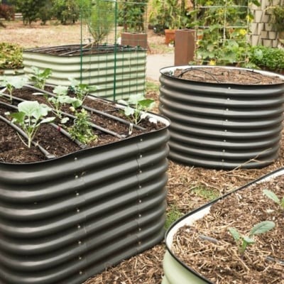 Epic Gardening