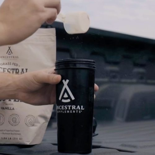 Ancestral Supplements (4a)