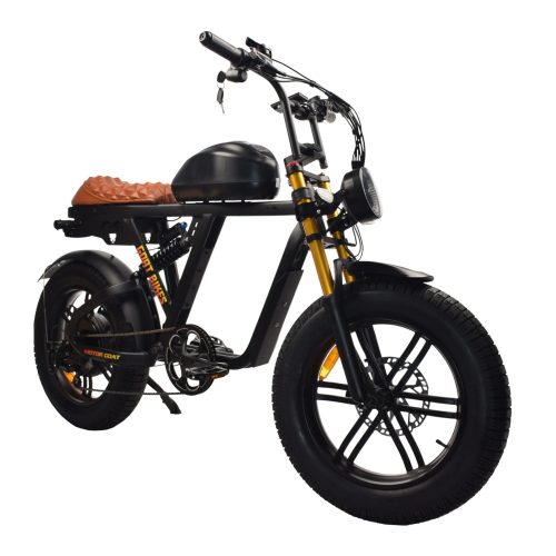 Goat Power Bikes 1 (1)