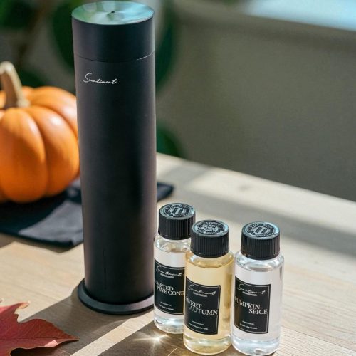 imgi_15_570027611_17988445295892481_7590564030703375354_n