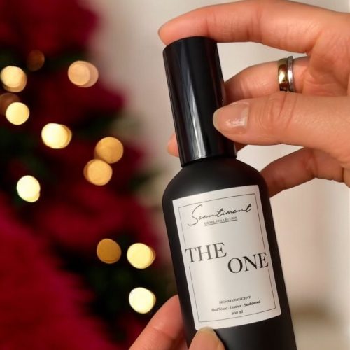 imgi_33_503575661_1244990890520607_1167864441496926651_n