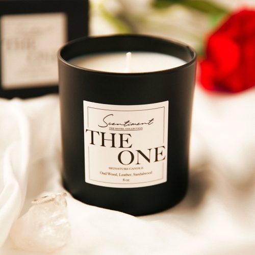 imgi_46_424818519_701788438801540_4065276043690641655_n